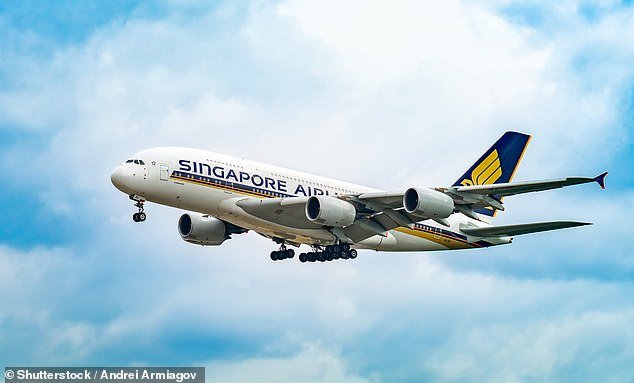 In Singapore Airlines' fleet, the Airbus A380 is a symbol of extravagance, but a 'Suites' seat in this airborne palace can cost up to $30,000 per flight (stock image)