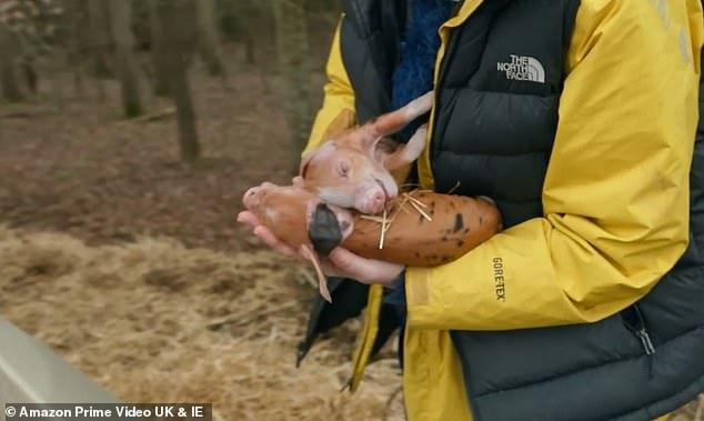 The presenter and his partner Lisa Hogan focused their efforts on pig farming in the latest Amazon Prime series, but they were left 'heartbroken' by the deaths at Diddly Squat Farm
