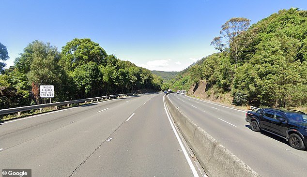 The dog was found at the foot of a cliff near Clive Bissell Drive (pictured) on Mount Ousley