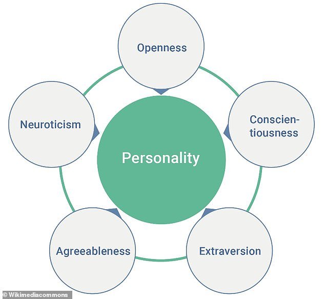 According to a psychological trait theory developed in the 1980s called the Big Five, human behavior consists of five personality traits that form the acronym OCEAN: openness, conscientiousness, extraversion, agreeableness, and neuroticism.