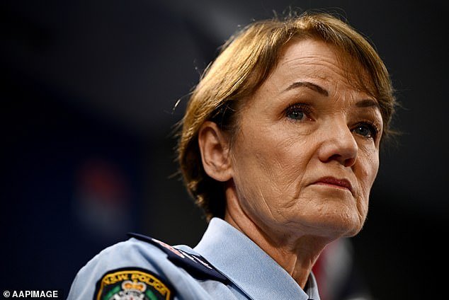 NSW Police Commissioner Karen Webb said the 'horrific' alleged murder of Molly Ticehurst 'should not have happened' amid a wave of domestic violence in Australia