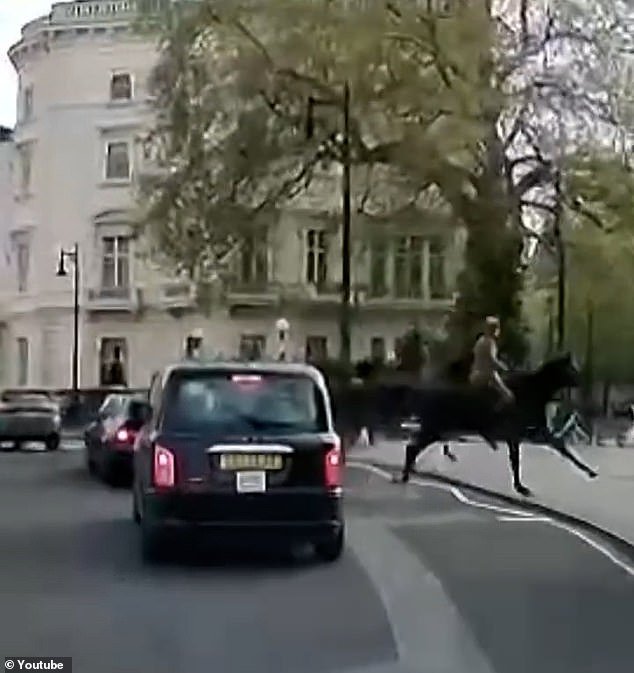 New footage of the runaway Household Cavalry horses shows them crashing through parked electric bikes
