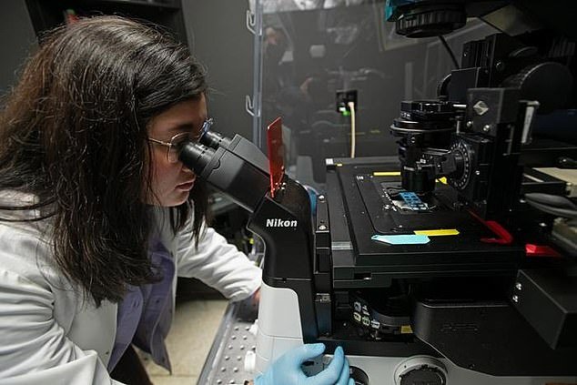 Washington State University PhD student Siena Glenn uses a powerful microscope to study deadly bacteria like E. coli and salmonella