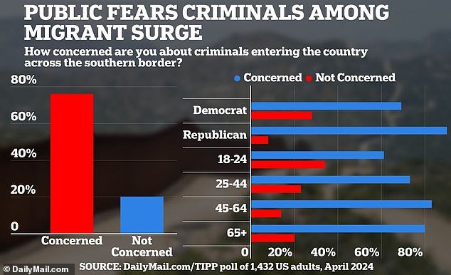 Americans of all stripes are worried about criminals sneaking into the US, a national poll from DailyMail.com/TIPP found earlier this month