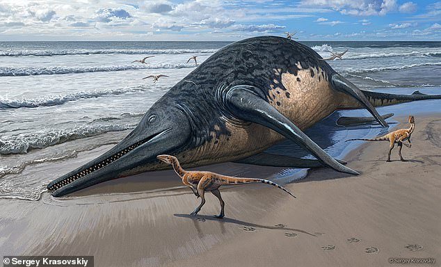 It is best known for Glastonbury, cider and cheddar.  But Somerset now has a new claim to fame – as its coastline was once home to the largest species of marine reptiles ever discovered