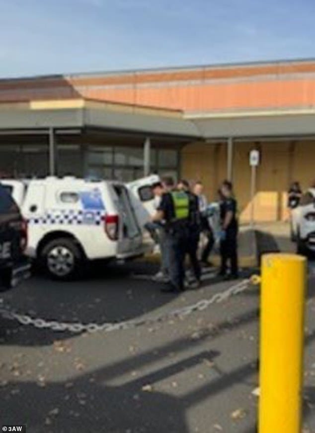 Police traced the SUV to the shopping center car park (pictured) before arresting the teenagers in dramatic scenes