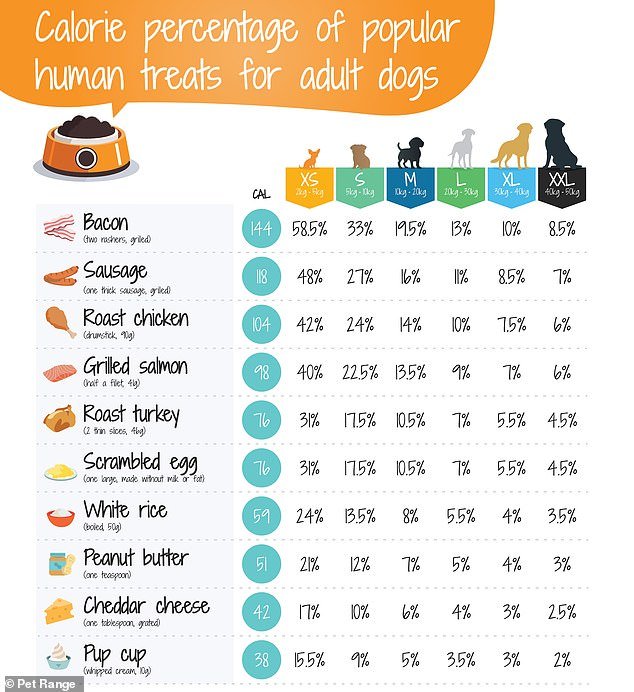 A new image might make you think twice about sneaking leftovers to your dog under the dinner table.  The image shows the human foods that can make your pet fat, including grilled salmon and scrambled eggs