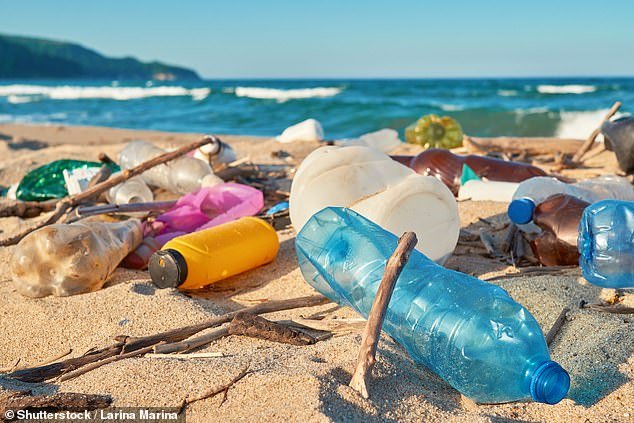 Plastic causes pollution at the beginning of its life, when the factories that make it produce greenhouse gases, and at the end of its life, when it pollutes nature and ends up in people's bodies.