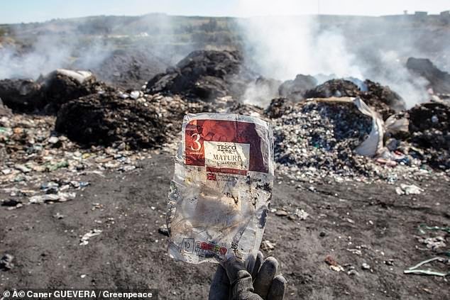 A shocking report reveals that British households throw away 1.7 billion pieces of plastic waste every year, much of which is incinerated or exported abroad (pictured)