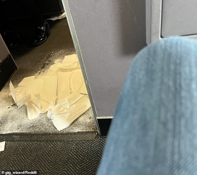 A United Airlines flight was forced to land after a dog defecated in the plane's aisle - just outside the first-class bathroom, a spokesperson confirmed to DailyMail.com