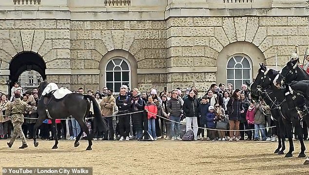 Footage shows the other riders trying to control and calm their mounts as the horse is led away