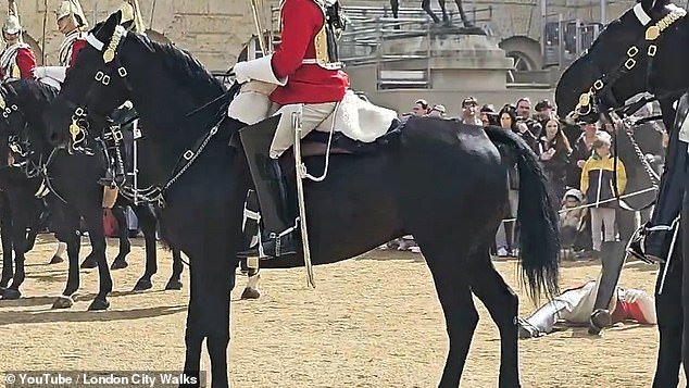 What WAS Wrong With The Household Cavalry's Horses Yesterday? New Video ...