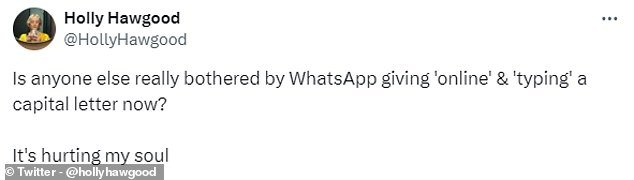'Is anyone else really bothered by giving WhatsApp? "online" & "now capitalize it?  It hurts my soul,” said a user on X (formerly Twitter)