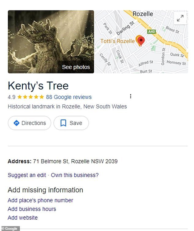Now the paperbark tree has become a local landmark on Google Maps (pictured), complete with a 4.9 star rating – and some very cheeky reviews