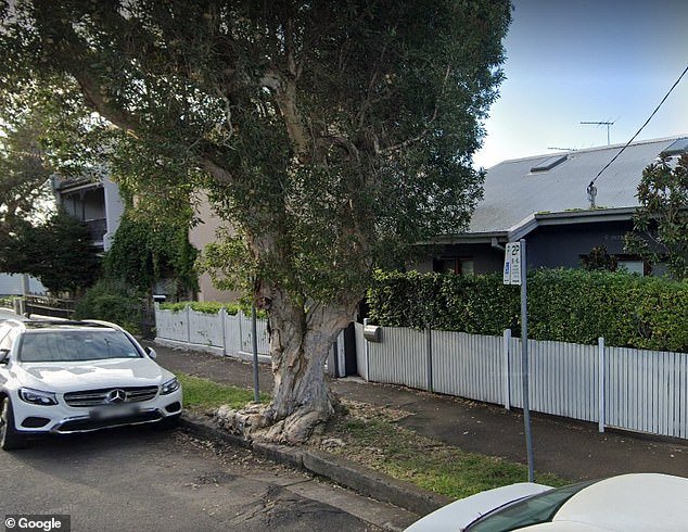 The tree opposite the Three Weeds Hotel in the western Sydney suburb of Balmain has been described in a review on Google as the '8th wonder of the world'.