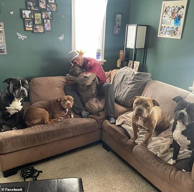 Bagaric has reshared several old photos of at least five pit bulls on social media