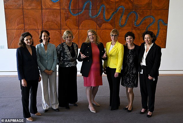 Teals were elected on a platform to end fossil fuel subsidies, but they all voted for it in December 2022 (Zoe Daniel (third from right) and Allegra Spender (far left) pictured)