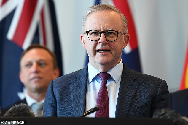 The series of cases has sparked major controversy, with calls increasing for Immigration Minister Andrew Giles (photo, Prime Minister Anthony Albanese)