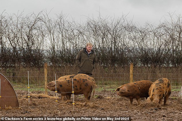 During the series, Jeremy introduced pigs to the Diddly Squat farm in an attempt to make some money from it