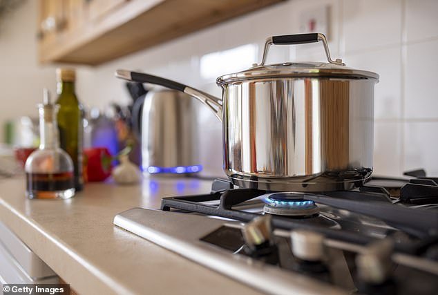 The bill aims to limit the Secretary of Energy's ability to ban or restrict appliances based on the type of fuel they use to operate, such as natural gas stoves.