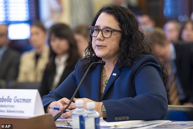 SBA Administrator Isabella Guzman testified that the program will 'help connect Michiganders to essential voter registration'