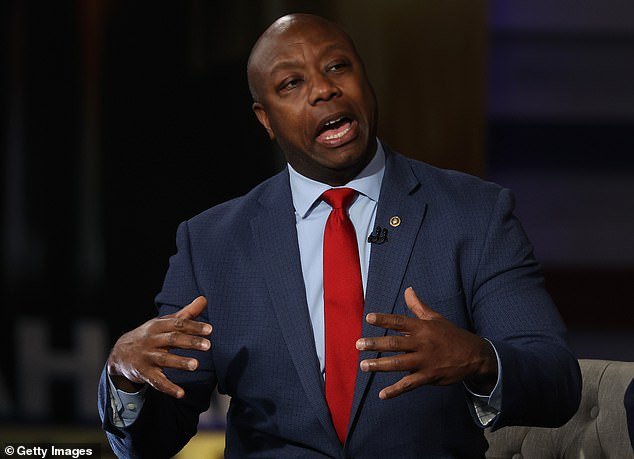 South Carolina Sen. Tim Scott checks off many of the boxes that former Vice President Mike Pence checked off, according to an anonymous senator